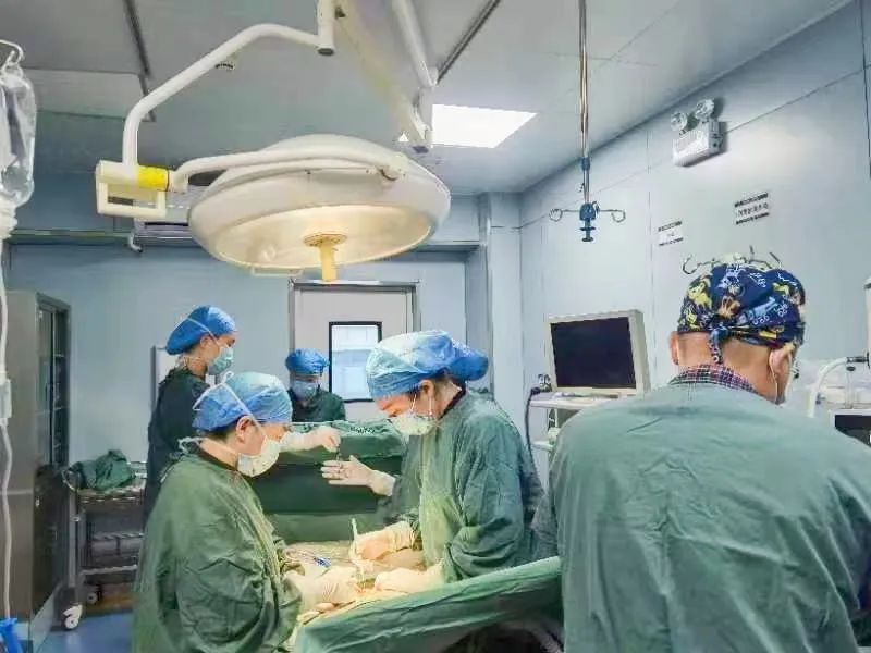 隆回县人民医院：七旬老太腹胀如怀孕，多学科协作安全取出排球大小罕见肿瘤