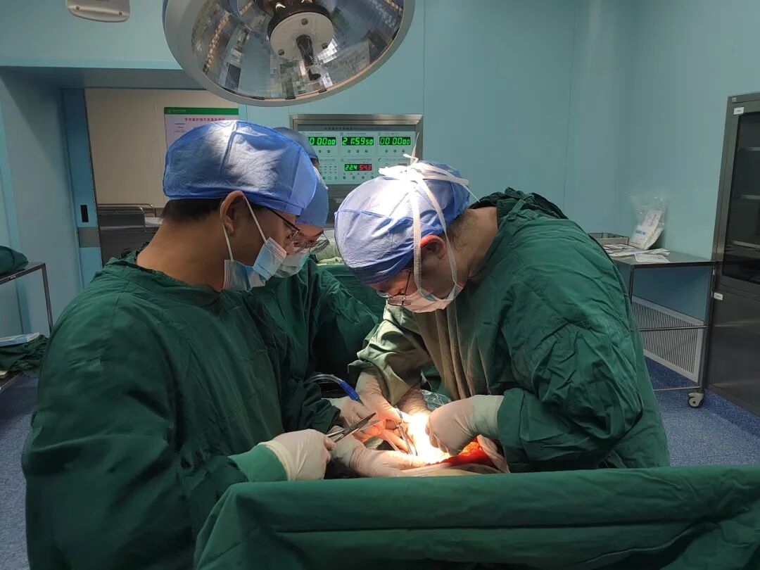 隆回：八旬老伯腹痛难忍，医生剖腹一看：一根鸡骨头，还有一根！