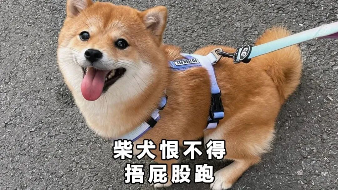 640.jpg 640.jpg