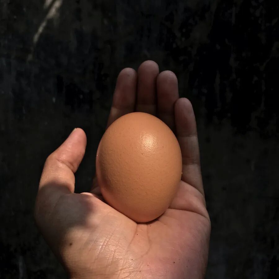 640.jpg 640.jpg